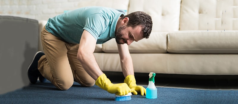 Carpet Cleaning