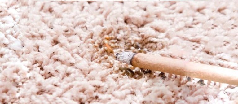 How to Fix a Cigarette Burn in a Carpet | Green Carpet ...
